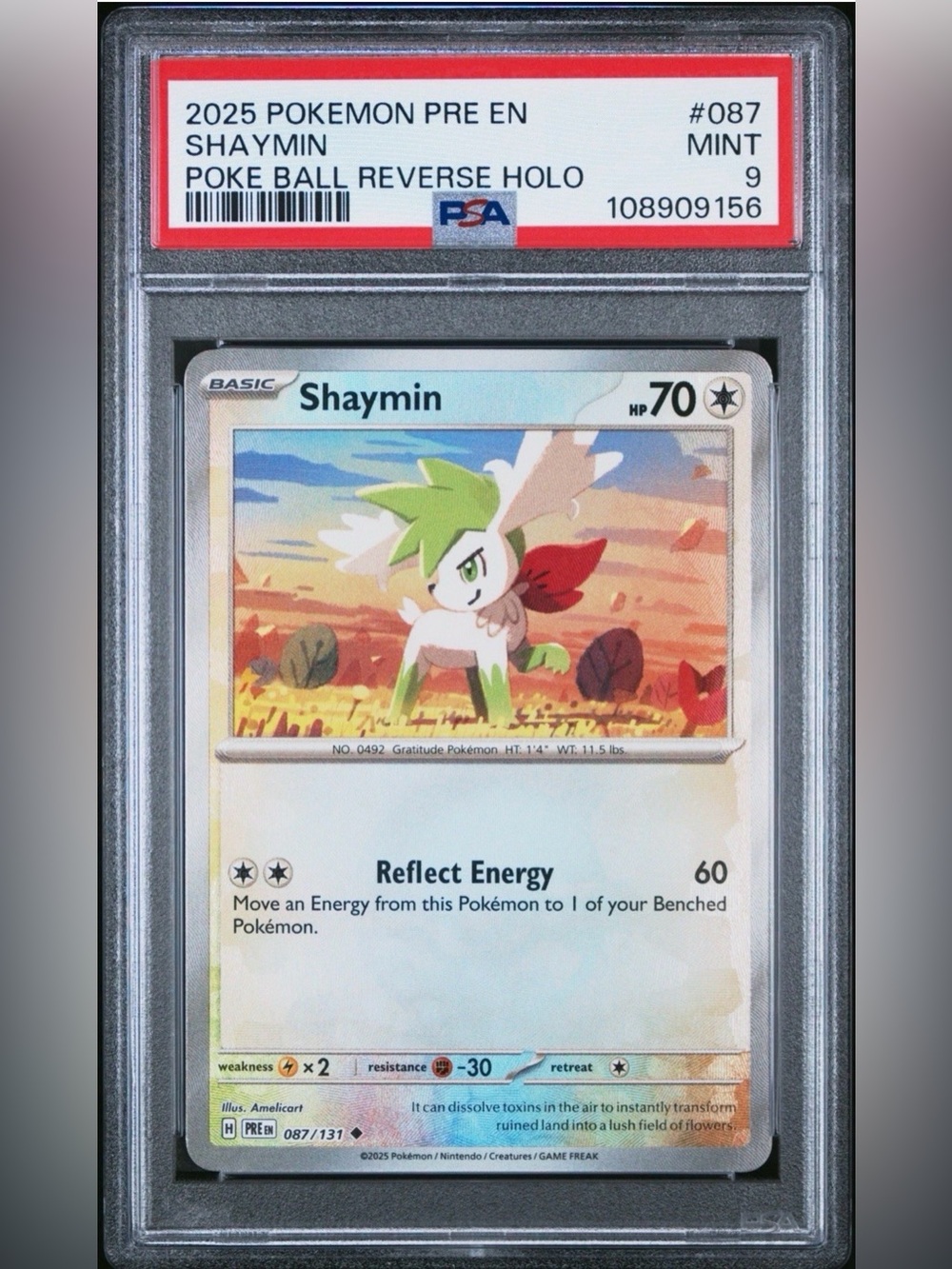 Shaymin Pokémon Card - Poke Ball Reverse Holo